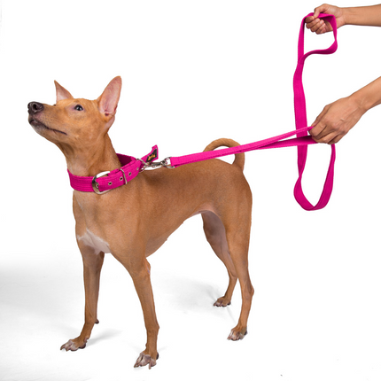 Let's Wag Double Handle Fabric Leash for Dogs (Pink)
