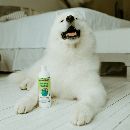 EarthBath Shed Control Green Tea & Awapuhi Shampoo for Dogs and Cats