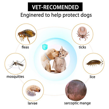 QPets Adjustable Waterproof Tick & Flea Collar for Dogs and Cats (Grey)