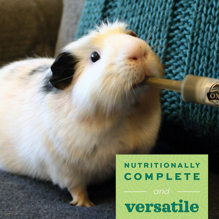Oxbow Critical Care Anise Herbivore Dry Food for Rabbits and Guinea Pigs