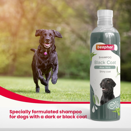 Beaphar Aleo Vera & Herbal Black Coat Shampoo for Dogs