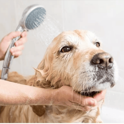 M Pets Pure Jojoba Oil Shampoo for Dogs