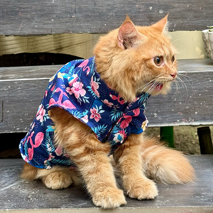 Pawgypets Flamingo Sando for Cats (Navy Blue)