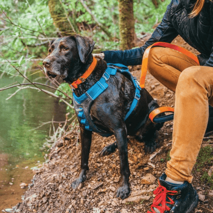 Kurgo Journey Air Harness for Dogs (Coastal Blue)