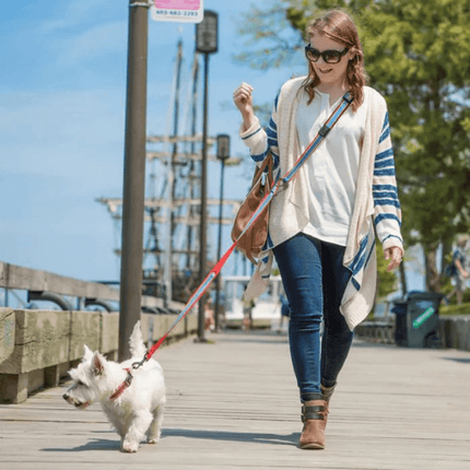 Kurgo Quantum 6 in 1 Dog Leash (Coastal Blue)