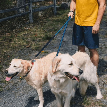 Kurgo Quantum 6 in 1 Dog Leash (Coastal Blue)