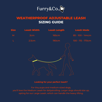 Furry & Co Weatherproof Leash for Dogs (Everest Blue)