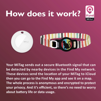 Mitag Anti Loss Device with Collar for Cats (Grey) | IOS