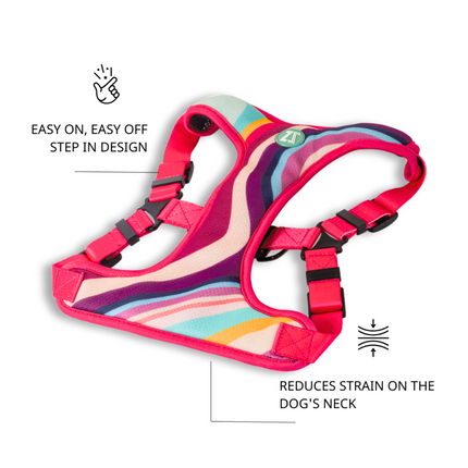 Zoomiez Adjustable Swirl Printed Step in Mesh Harness for Dogs