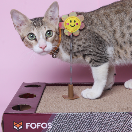 Fofos Rock & Roll Play Box Toys for Cats