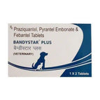 2 Pack (4 tablets)