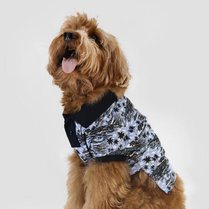 Boss Polo Tshirt for Dogs (Blue Palm)