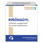1 Strip (10 tablets)