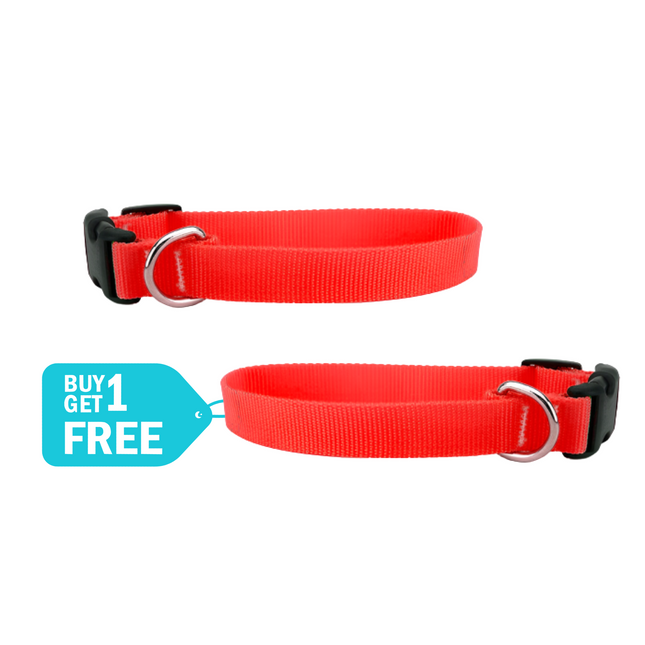 Skatrs Adjustable Collar with Bell for Cats & Kittens (Buy 1 Get 1)